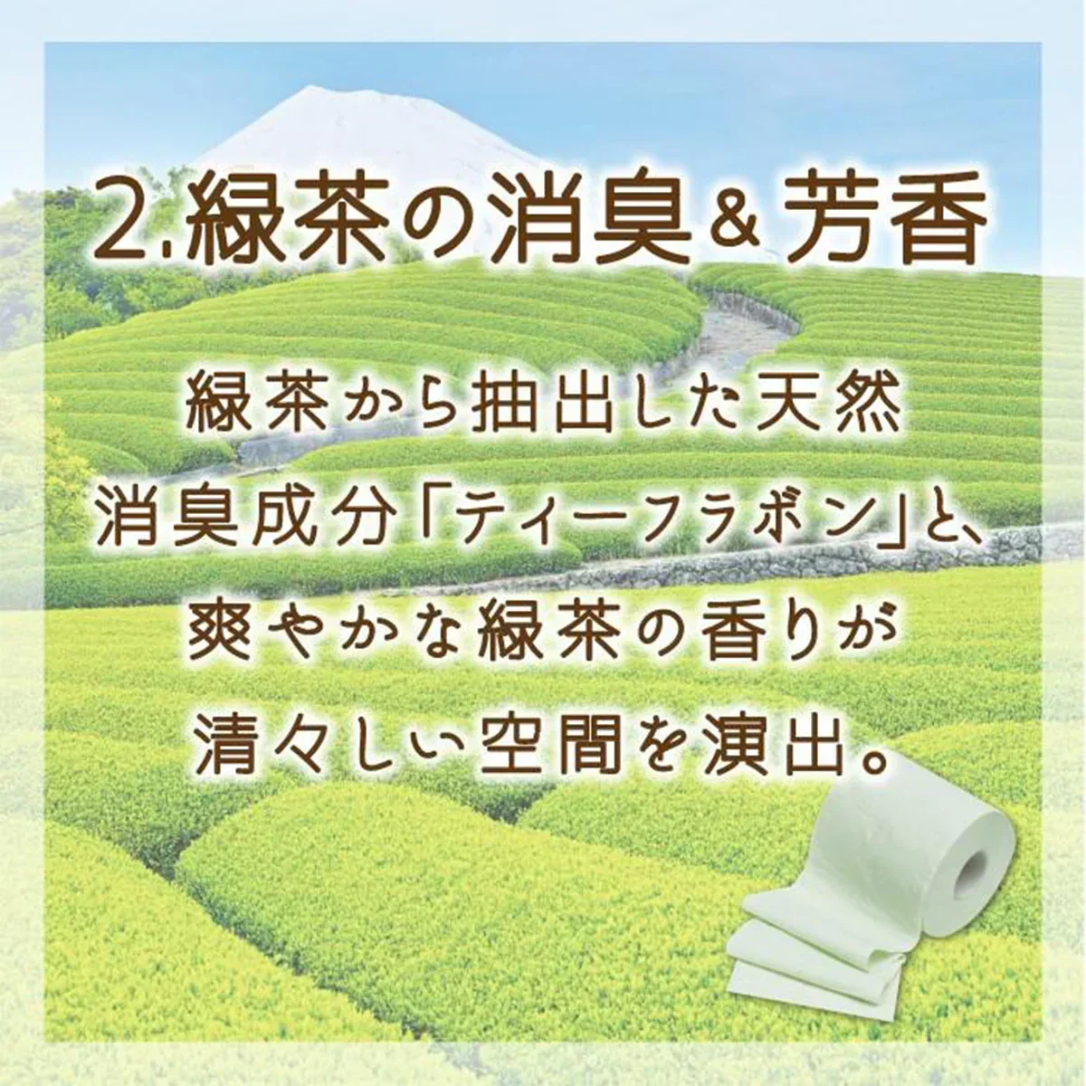 8ロールX8パック トイレットペーパー 丸富製紙 ペンギン 緑茶の力プレミアム 3枚重ね20m 130カット