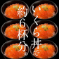 いくら 紅鮭 イクラ 醤油漬け 500g 小粒 いくら醤油漬け 冷凍海鮮 イクラ醤油漬け 魚卵 魚介類 美味しい ご飯のお供 ごはんの友 お取り寄せグルメ グルメ 海鮮 ［送料無料］ プレゼント ギフト 訳あり