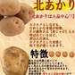 岩手県産 じゃがいも 10kg 無農薬栽培 品種MIX（きたあかり・男爵）
