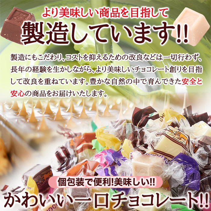 ジャージーミックスひとくちチョコレート200g /ネコポス送料無料