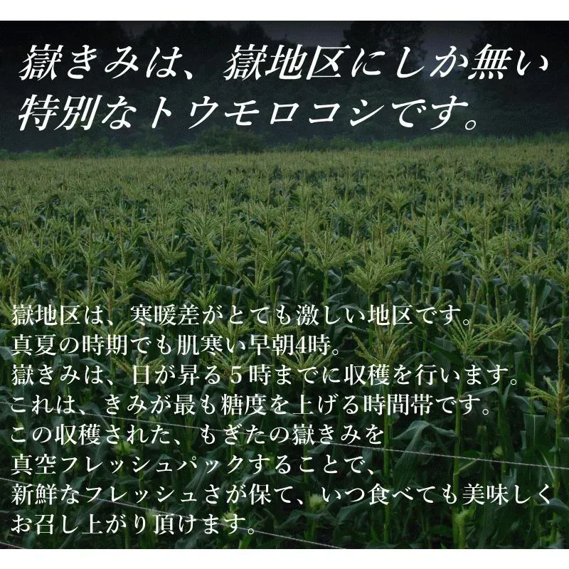 青森県産 嶽きみ 5本セット 真空フレッシュパック