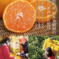 【在庫処分】愛媛県産みかん大福と不知火(でこぽん)ロールのセット(冷凍/賞味期限:5月中旬ごろ)