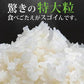 雪若丸 玄米 10kg (5kg×2袋) 山形県産 令和7年産 送料無料 米 10キロ こめ コメ お米 新米 お米10kg 雪若丸10kg 雪若丸10キロ