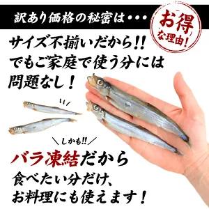 子持ちししゃも 3kg（500g×6袋）［冷凍］【4～5営業日以内に出荷】【送料無料】
