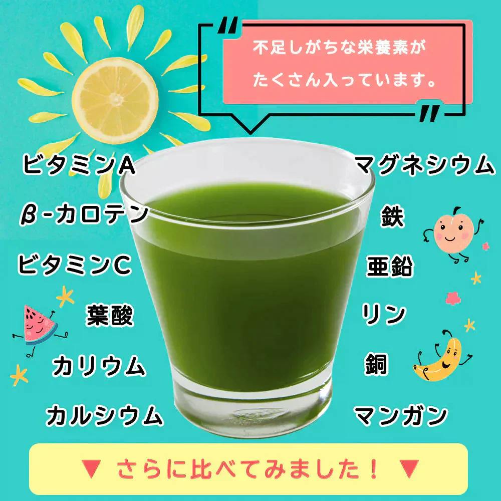 国産 フルーツ青汁 1ヶ月分 90g(3g×30包）[ 青汁 酵素 美容 ダイエット 健康 フルーツ 16種類 の フルーツパウダー と 105種類 の 野菜酵素 無農薬 ] K【ご新規さん限定商品】
