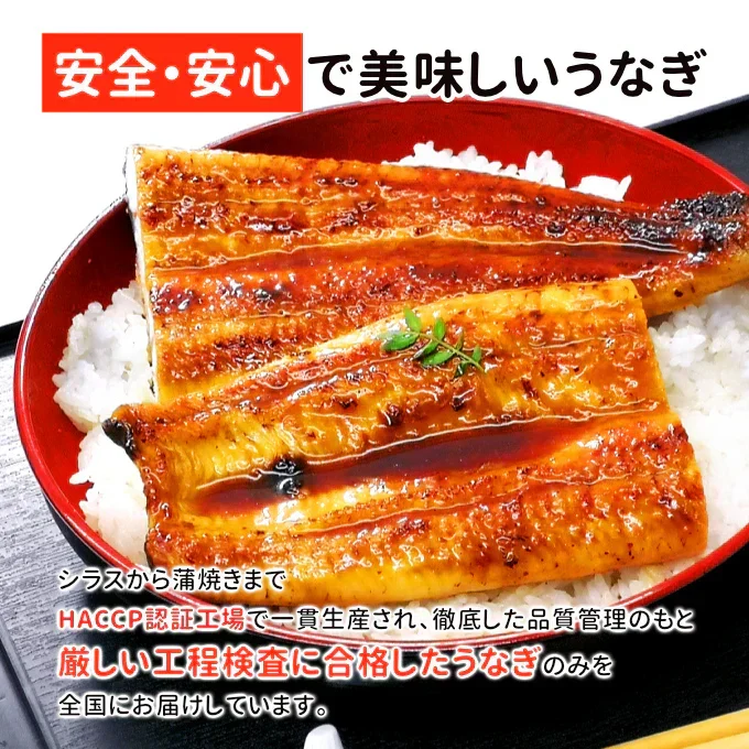 国産 うなぎ蒲焼き 約170g×4尾 送料無料 九州産 今だけ200gにグレードアップ