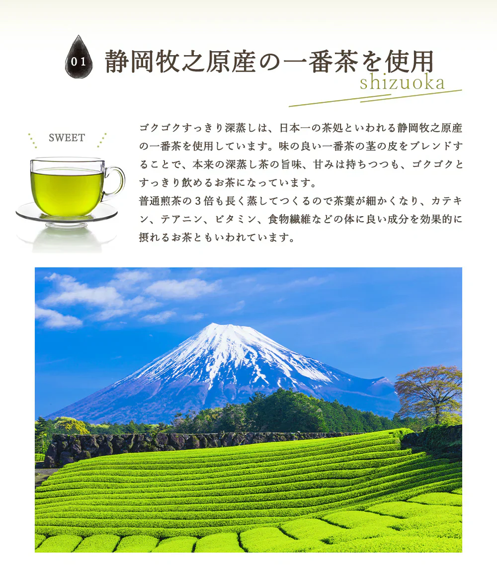 ゴクゴクすっきり 深蒸し ティーバッグ 100個入 みずたま農園製茶場 緑茶 水出し 国産 お茶 ティーパック 日本茶 緑茶 深蒸し茶 煎茶 水出し緑茶 国産 静岡 静岡茶 牧之原 送料無料 大容量 メール便