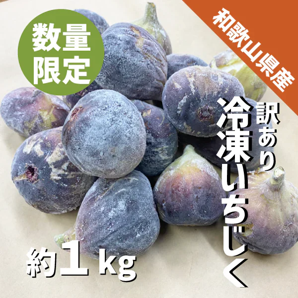 和歌山県産 冷凍いちじく 約１kg 2025年産 ジャム コンポート 訳あり 加工用 いちじく 冷凍