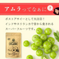 【ご注文殺到につき入荷待ち】 アムラパウダー 無添加 食用 オーガニック 100g 有機 JAS認証 粉末 アムラ 100% パウダー グーズベリー スリランカ ヘアケア 美髪 薄毛 美肌 栄養 健康 サプリメント