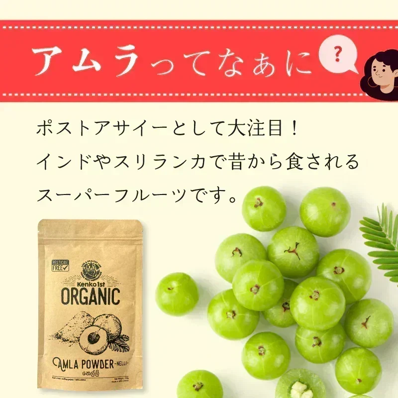 【ご注文殺到につき入荷待ち】 アムラパウダー 無添加 食用 オーガニック 100g 有機 JAS認証 粉末 アムラ 100% パウダー グーズベリー スリランカ ヘアケア 美髪 薄毛 美肌 栄養 健康 サプリメント