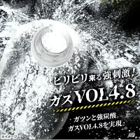 【カートアップNG】［24本］STRONG SODA 強炭酸水500ml　レモン味