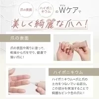 ネイルオイル 爪 美容液 ケア 10ml ペンタイプ ペン 補強 オーガニック キューティクルオイル ハイポニキウム 甘皮 ネイルケア ネイル オイル ネイルセラム 補修 保護 爪割れ ひび割れ
