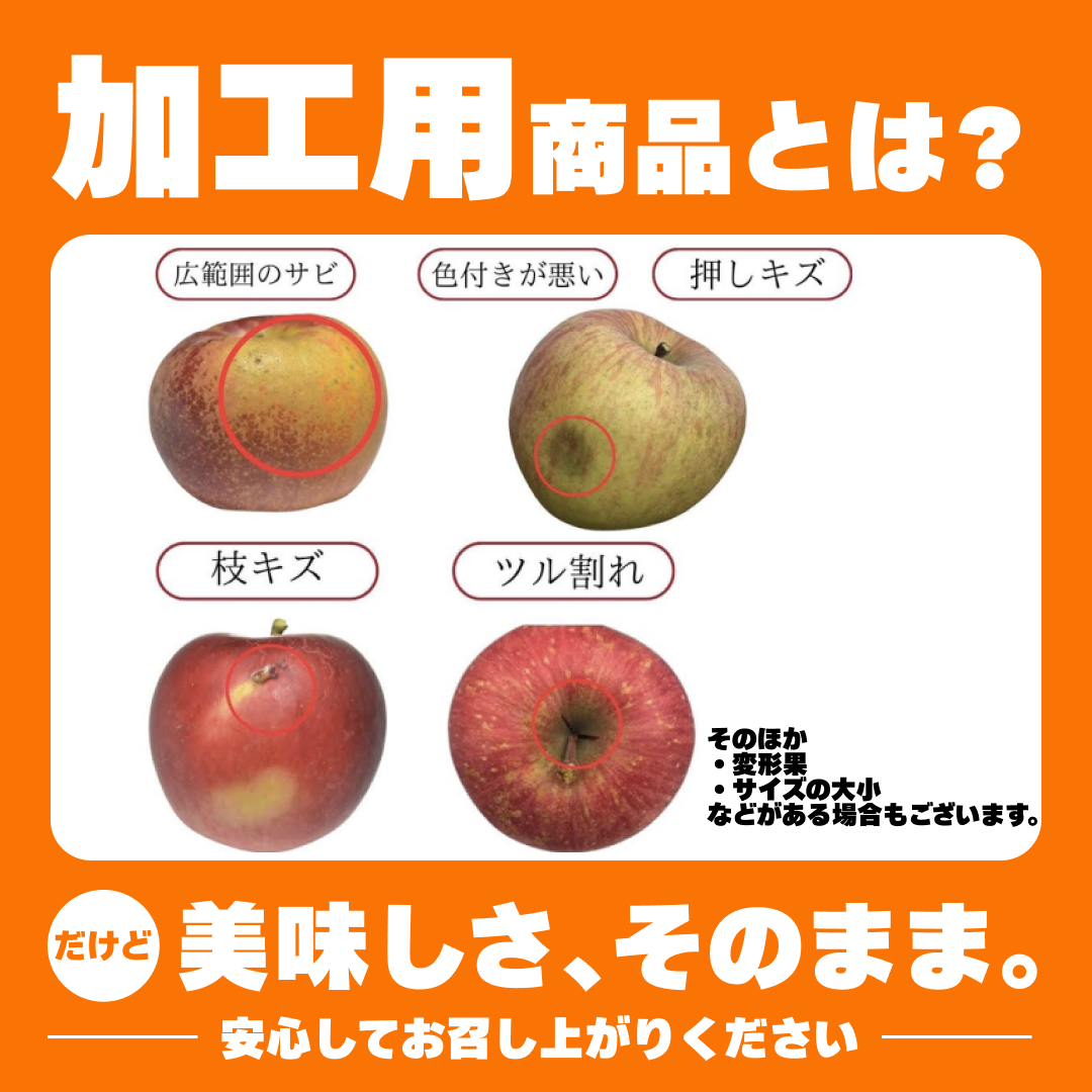 【2023年産予約開始！】秋映 加工用 約2.5kg(7-16玉) 9月下旬頃発送開始予定 #YAA0K025