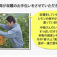 【9月下旬～10月上旬頃より順次出荷】レモン 国産レモン 送料無料 4kg 2S～L  熊本県産 減農薬 防腐剤ワックス不使用 れもん グリーンレモン 国産