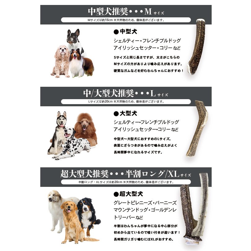 Deerhorn【半割ショート】 北海道産 鹿の角 鹿角 ペット 犬 おもちゃ 小型犬 半割 いたずら防止 おやつ デンタルケア ガム 天然 –  カウシェ