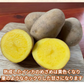 《発送は12月》 熟成インカのめざめ 2Kg 栗のようなジャガイモ