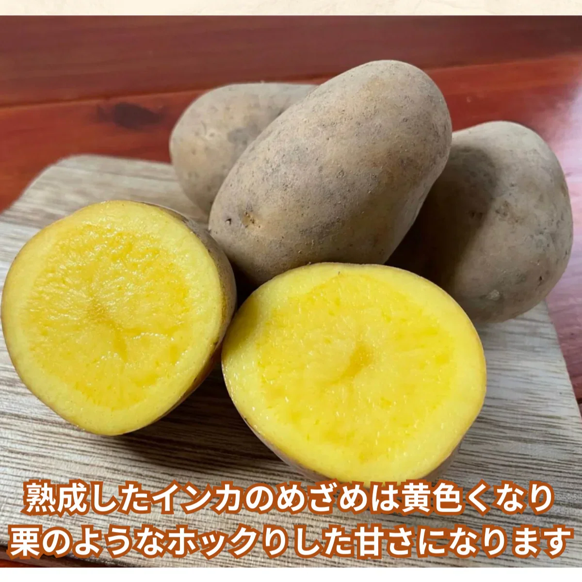 《発送は12月》 熟成インカのめざめ 2Kg 栗のようなジャガイモ