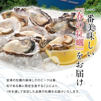 兵庫県室津産 ハーフシェルオイスター 殻付き牡蠣 生食用 10個入り［冷凍のみ］【送料無料】【3～4営業日以内に出荷】