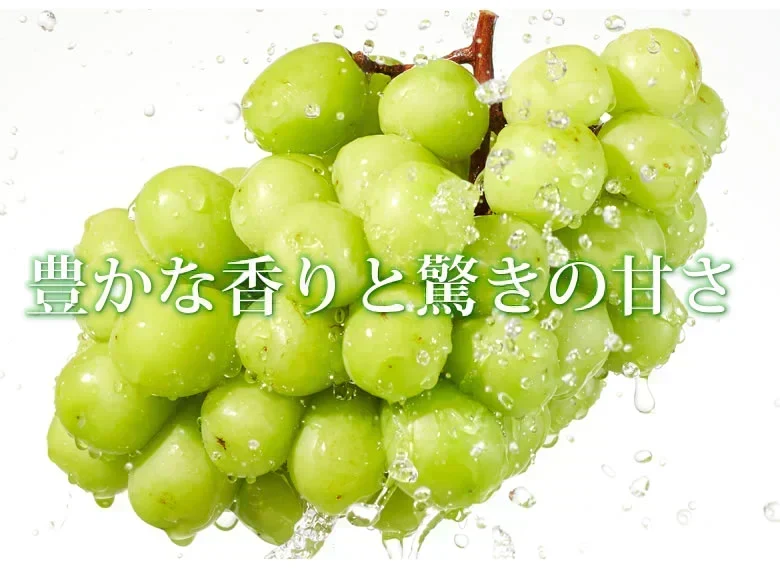 シャインマスカット ぶどう 送料無料 1kg 2〜3房 九州産 マスカット 葡萄 ブドウ