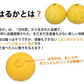 はるか みかん 10kg 箱込（内容量9kg＋補償分500g) 送料無料 訳あり 無選別 熊本県産 はるかみかん ミカン 蜜柑