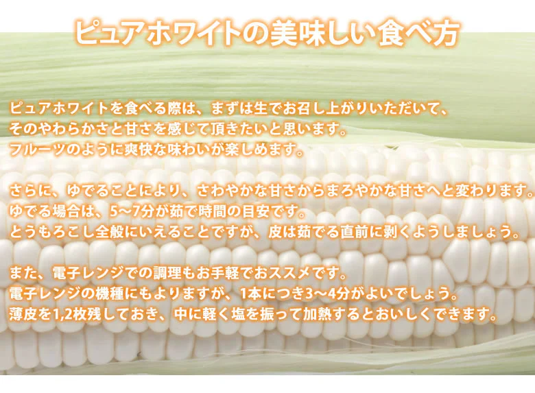 【6月中旬～下旬頃より順次出荷】とうもろこし ピュアホワイト 送料無料 約3kg 8～12本入り 九州産 白いとうもろこし 極甘フルーツコーン スイートコーン 雪の妖精
