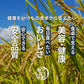 雑穀 雑穀米 国産 麦５種ブレンド 4kg(400g×10袋) [丸麦/押麦/はだか麦/もち麦/はと麦] 無添加 無着色 徳用サイズ 送料無料