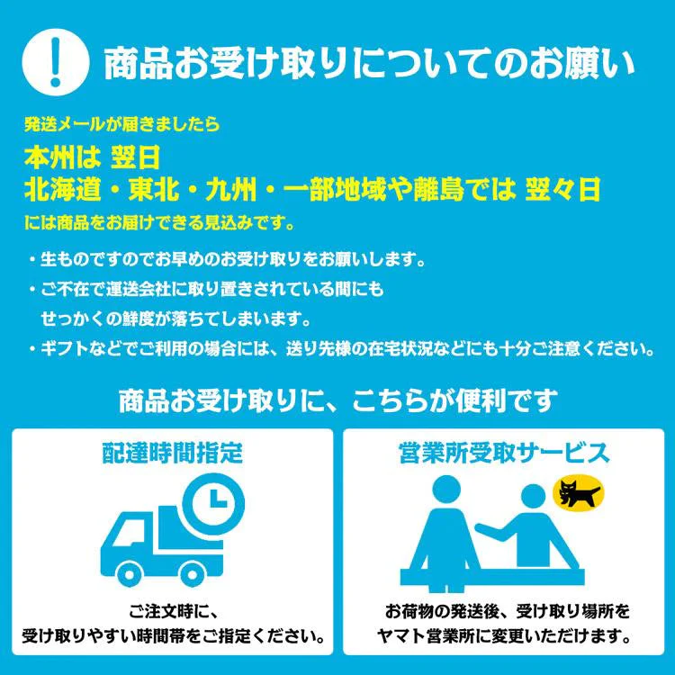 せとか みかん 5kg 愛媛県産 JAえひめ中央 柑橘 大トロ 高級 フルーツ ギフト 常温便【フレッシュセール】