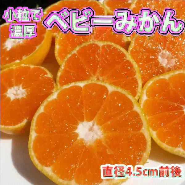 (10月下旬頃から順次発送の予約販売) みかん 激レア小粒 直径4.5cm前後 訳あり 和歌山有田みかん 2kg