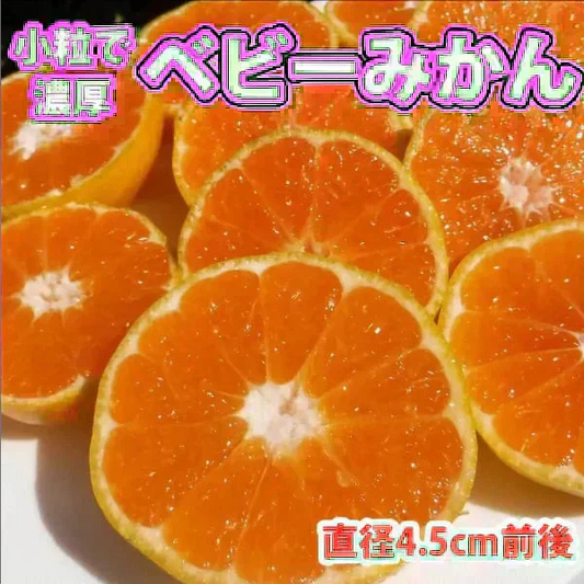 (10月下旬頃から順次発送の予約販売) みかん 激レア小粒 直径4.5cm前後 訳あり 和歌山有田みかん 2kg
