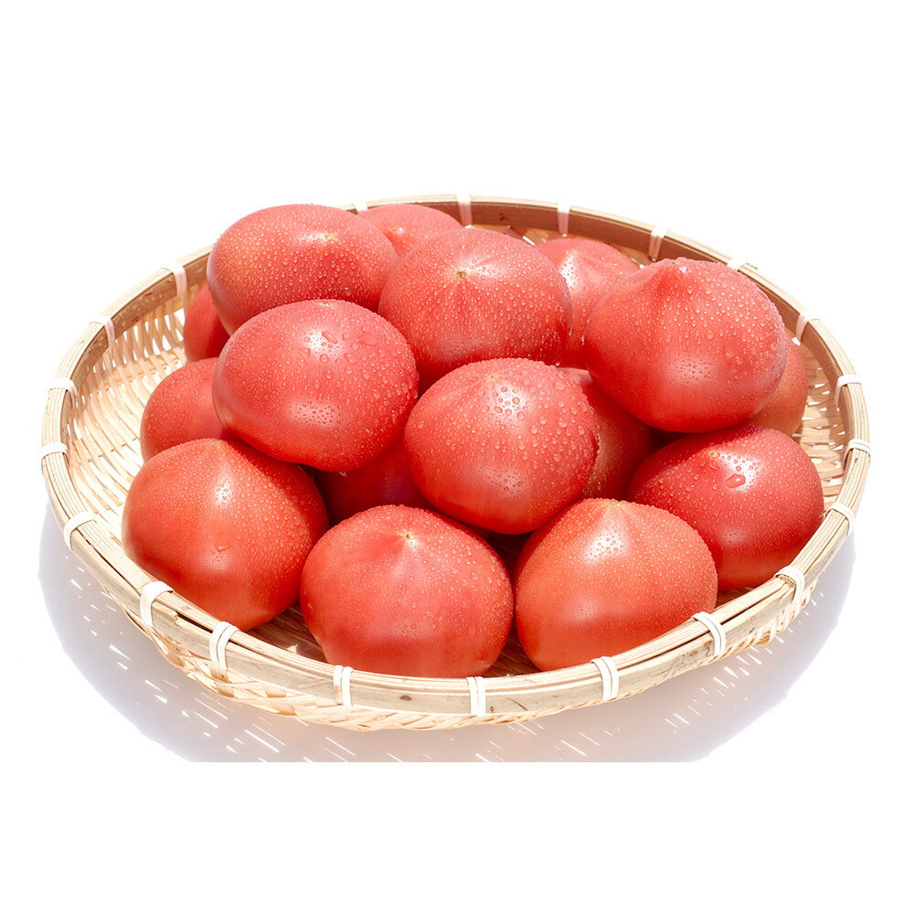 宮城県産 無添加無塩100%紅白トマトジュース100ｇ１２本セット