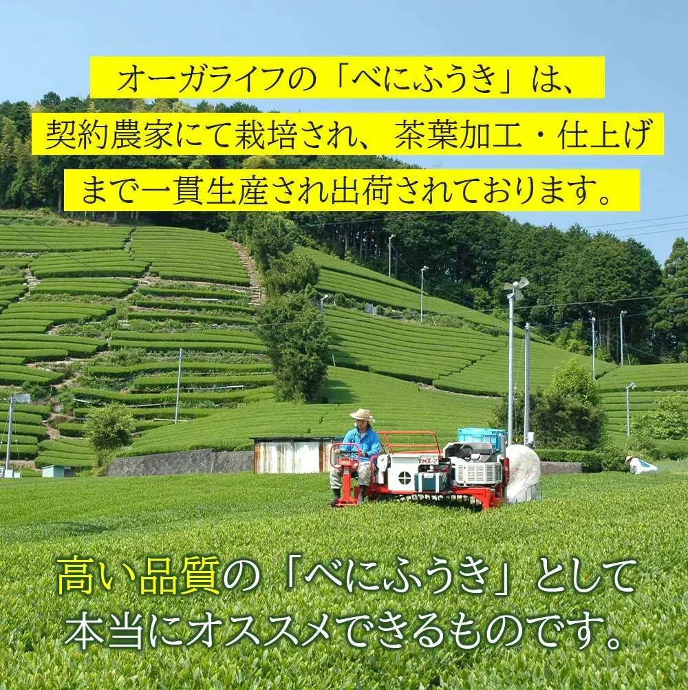 べにふうき茶 ペットボトル 350mlx24本 高濃度 メチル化カテキン 緑茶 農水大臣賞・日本農業賞受賞 静岡県産 べにふうき 花粉対策 花粉症 お茶