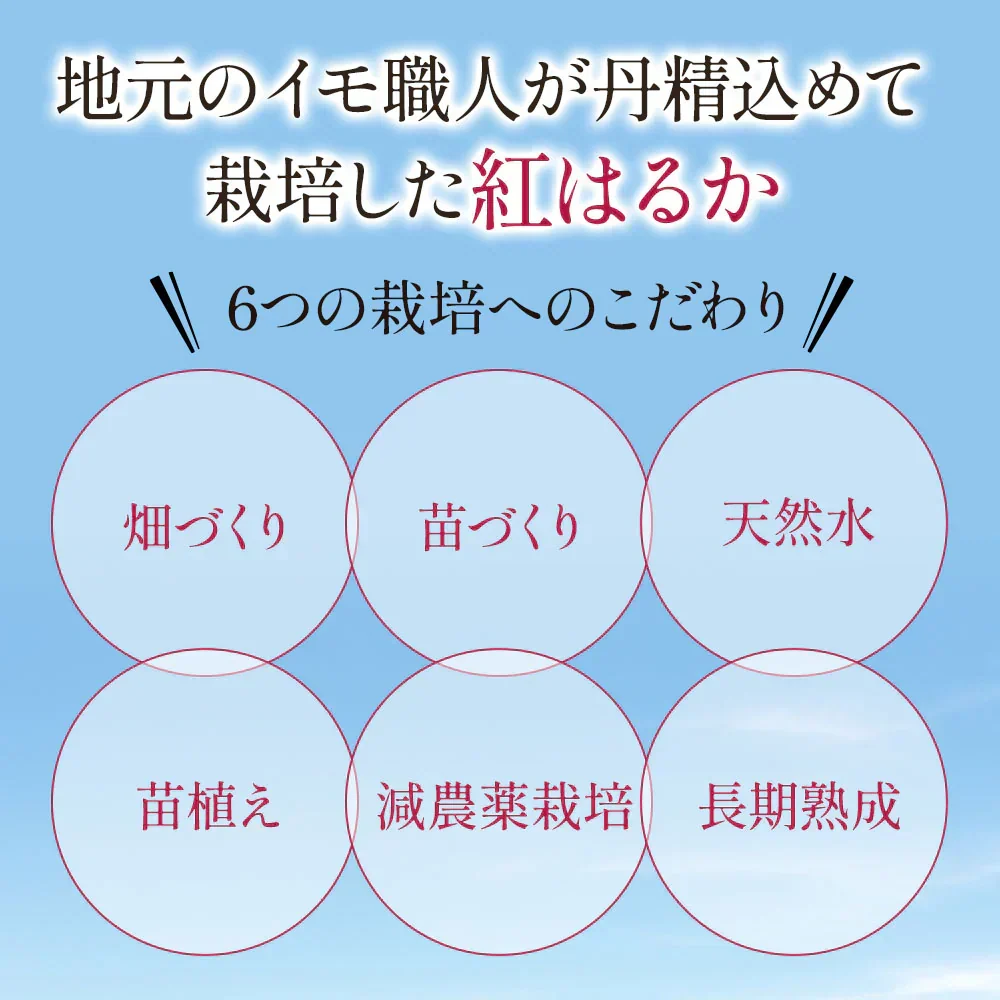 紅はるか さつまいも 5kg 産地直送 産直 土付き さつま芋 薩摩芋 焼きいも 焼き芋 石焼き芋 芋 いも イモ 南九州産  FJK-000
