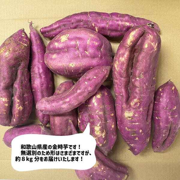 和歌山県産 紀州 金時 約８kg ご家庭用 さつまいも 訳あり サツマイモ 焼き芋 干し芋