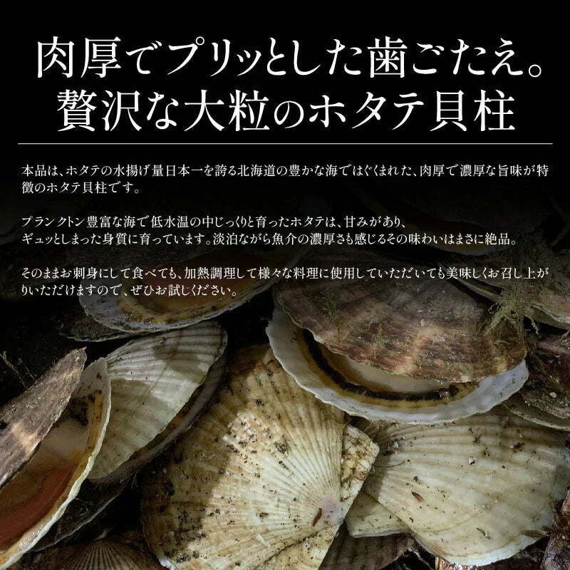 大粒サイズ厳選！ ホタテ 貝柱 500g 大粒 ほたて 帆立 正規品 冷凍ホタテ 肉厚 甘い ホタテ貝 ホタテ貝柱 冷凍 美味しい 1キロ 北海道 グルメ 海産物 海鮮 貝 お取り寄せグルメ 緊急支援品