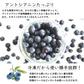2種ベリーアイスセット まるごと苺アイス10粒＆冷凍ブルーベリー（100g）4カップ詰合せ　化粧箱 ギフト 冷凍 国産 いちご イチゴ ストロベリー  ベリー 冷凍果実 フルーツ アイス あいす