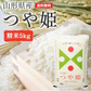 米 5kg つや姫  精米 山形県産 送料無料 ギフト 令和6年産 単一原料米 ブランド米 こめ コメ 白米 産地直送 kkb-002
