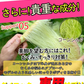 【24時間モデル・お得2個セット】 本気ダイエット 短期集中-10kg  ダイエット専用 サプリメント くびれ美人 痩せない方の為のサプリ むくみ ダイエット効果 サプリ 減量 激やせ 激減 痩せる やせる 燃やす 短期減量 短期ダイエット スリムサポート 美ボディダイエットサプリメント 生酵素 酵素 燃焼 燃焼系 コレウスフォルスコリ フォルスコリン フォルスコリ おすすめ 人気 ランキング 効果 強力 最強 国産サプリ