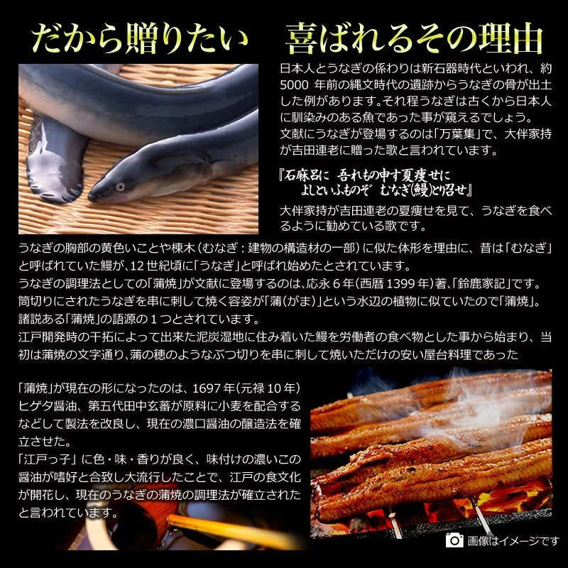 うなぎ 蒲焼き【国産 国内産】炭火焼うなぎ蒲焼1尾 特大(1尾：250g前後)土用の丑の日 宮崎県産・鹿児島県産 ※蒲焼のタレ付