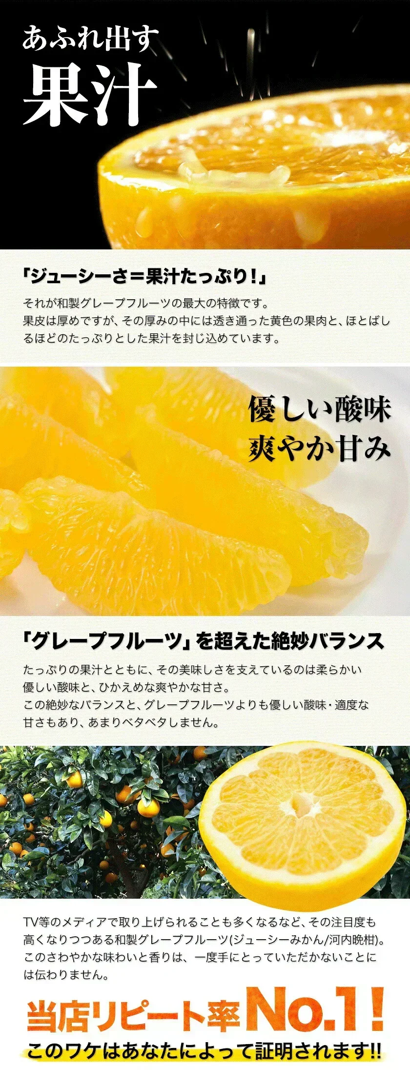 河内晩柑 5kg 送料無料 和製 グレープフルーツ フルーツ 果物 みかん 訳あり 夏文旦 晩柑 ジューシーみかん 熊本県産 《1-5営業日以内に発送予定》