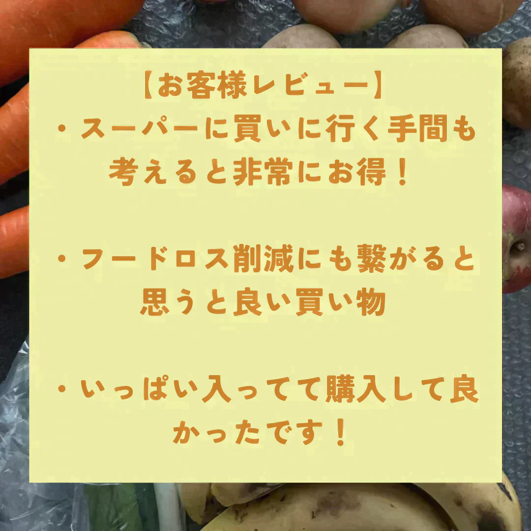 【4品以上】野菜・フルーツ詰め合わせ福袋