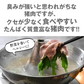 カナダ産 猪肉 肩ロース しゃぶしゃぶ用（1.5mmスライス）　約1.2kg（300g×4） ［冷凍］【3～4営業日以内に出荷】