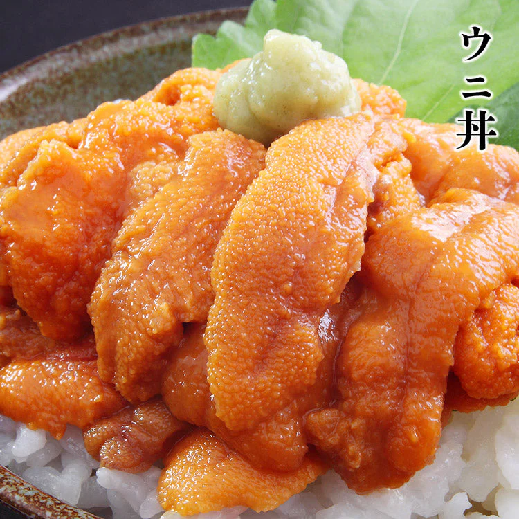 生うに 100g×3パック 完全無添加 みょうばん不使用  お刺身用 生 AAグレード ウニ うに 雲丹 冷凍 送料無料 冷凍便 お取り寄せグルメ 食品 ギフト