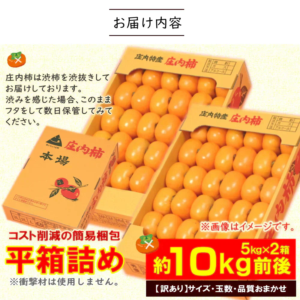 【10月下旬-12月上旬頃ご注文受付順次】訳あり種なし柿約10kg（5kg×2箱）庄内柿平箱詰めご家庭用にたっぷりお届け！柿、かき、カキ