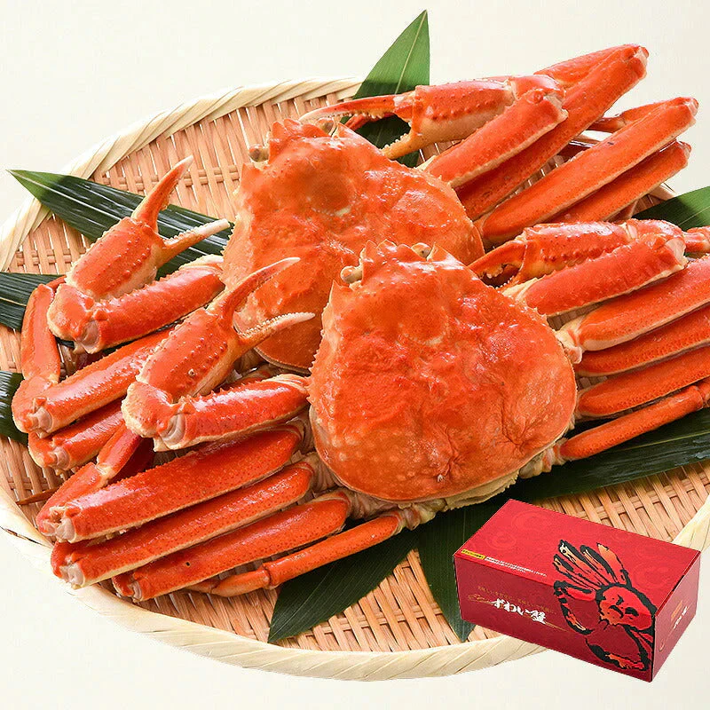ずわい蟹 姿 600g前後×2尾 ズワイガニ ずわいがに かに 蟹 カニ ［送料無料］ ズワイ ずわい ボイルカニ 海鮮 ボイル 高級グルメ ボイル蟹 お取り寄せグルメ 食品 食べ物 ごちそう 母の日 プレゼント ギフト  母の日思いの 健康 実用的 父の日 子供 孫