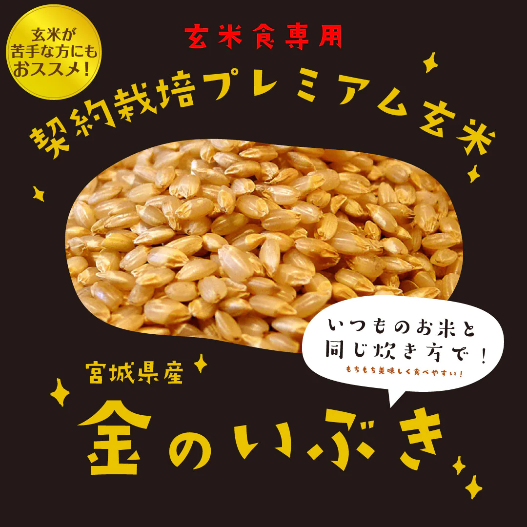 玄米 宮城県産 金のいぶき 20kg (5kg×4) 令和5年度産 お米 おくさま印 国産 食品 栄養 健康 ギフト 引っ越し 挨拶 出産 内祝い 母の日 父の日 お中元 お歳暮 結婚 快気 還暦 香典返し お年賀 送料無料