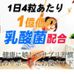 【お得3袋セット・とりあえずコレ!】炭水化物 糖質 脂質 対策 カロリーカット サプリ  ダイエットサプリメント 食事制限無し 白いんげん豆 桑の葉 烏龍茶 乳酸菌 キトサン 体脂肪 フラクトオリゴ糖 カロリーゼロ 糖質制限　糖質カット 日本製 食事制限無し おすすめ 人気 ランキング 効果 強力 最強 カロリーゼロ対策 カロリーコントロール　コントロールサプリ カロリーメイト 国産 日本製 白インゲン ランキング おすすめ 健康食品 通販  ダイエットサプリメント 「福袋」