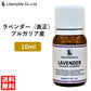 アロマオイル ラベンダー (真正ラベンダー) ブルガリア産 精油 エッセンシャルオイル  (10ml)