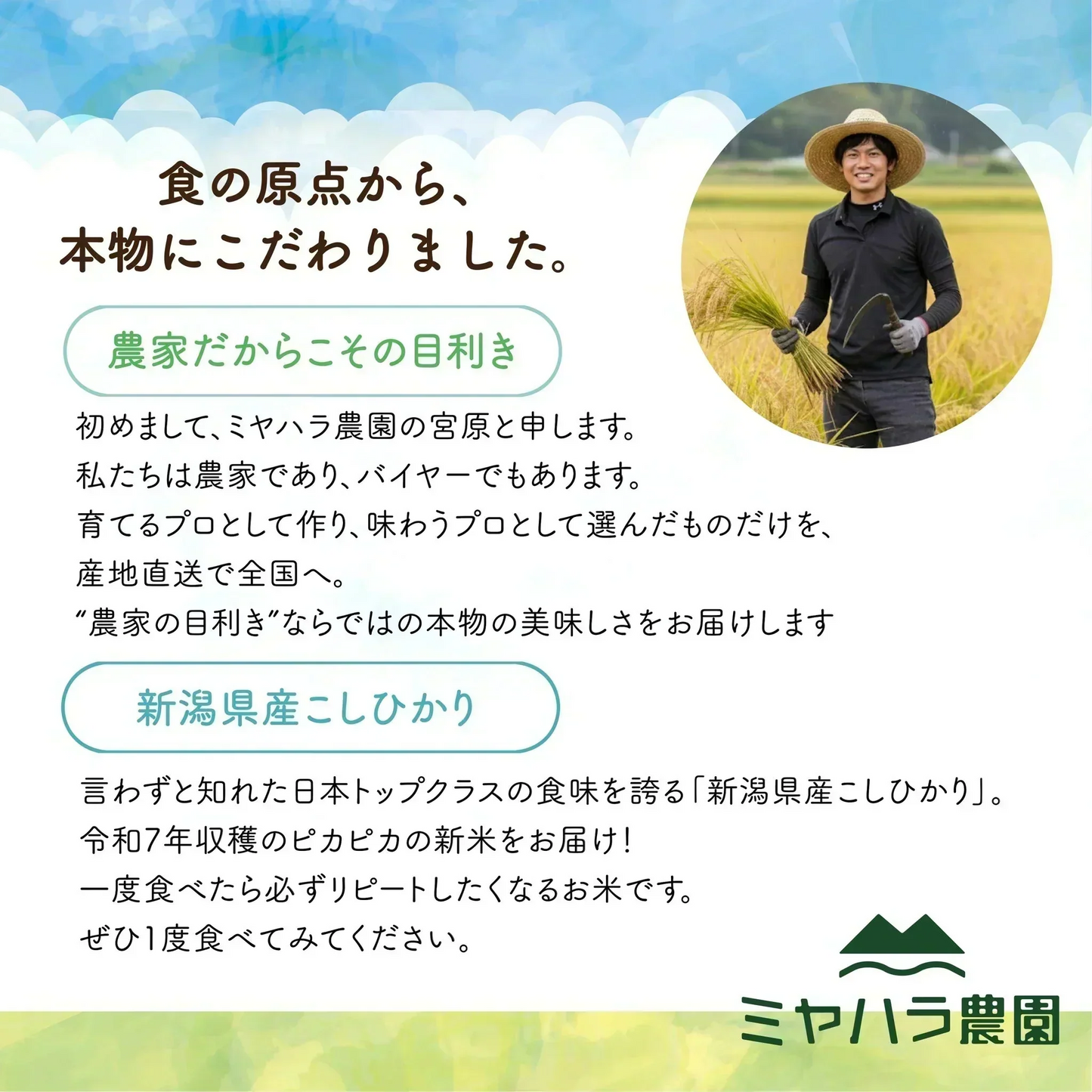 【お届けまで約3週間】「新潟こしひかりブレンド」800g【カウシェファーム収穫対象商品】