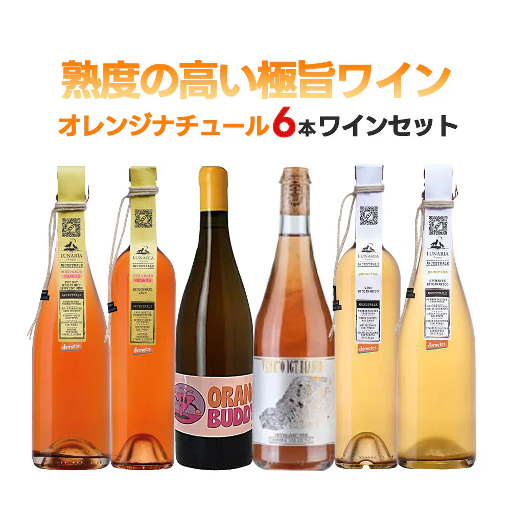 【送料無料】 自然派 ナチュール オレンジワインセット第1弾[750ml×6本]【北海道・東北・四国・九州・沖縄県は必ず送料がかかります】