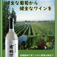 【送料無料】長野県 アルプス 契約農場の有機ワイン 白 やや甘口 720ml×12本【本州(一部地域を除く)は送料無料】